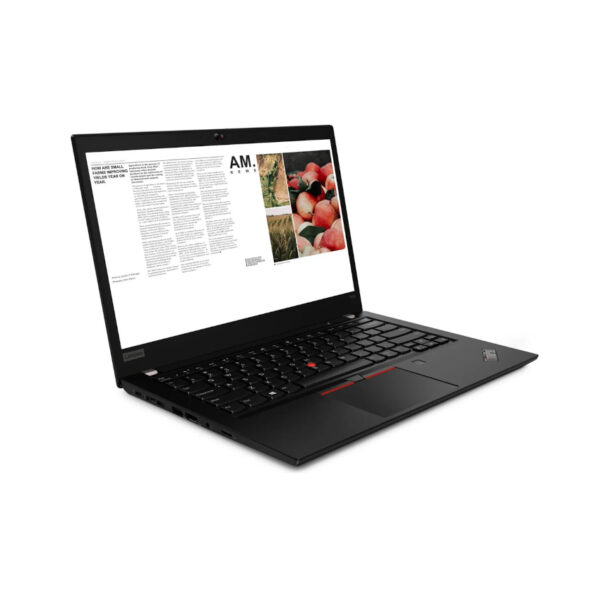 Lenovo ThinkPad T490